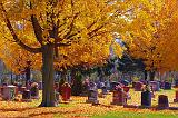 Autumn Cemetery_24101